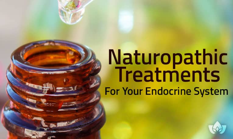 Naturopathic Treatments For Your Endocrine System | Mindful Healing | Mississauge Naturopathic Doctor
