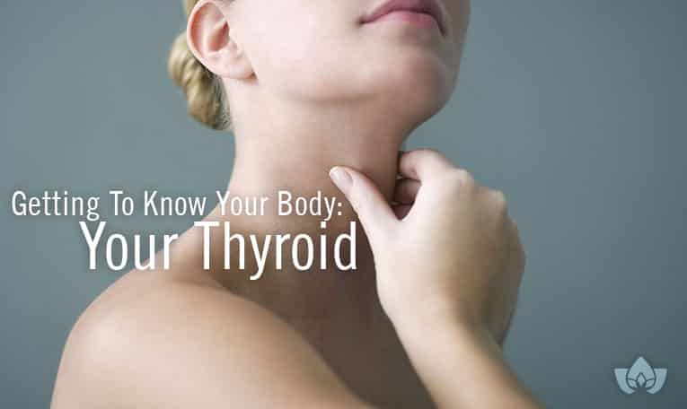 Getting To Know Your Body: Your Thyroid | Mindful Healing | Mississauge Naturopathic Doctor