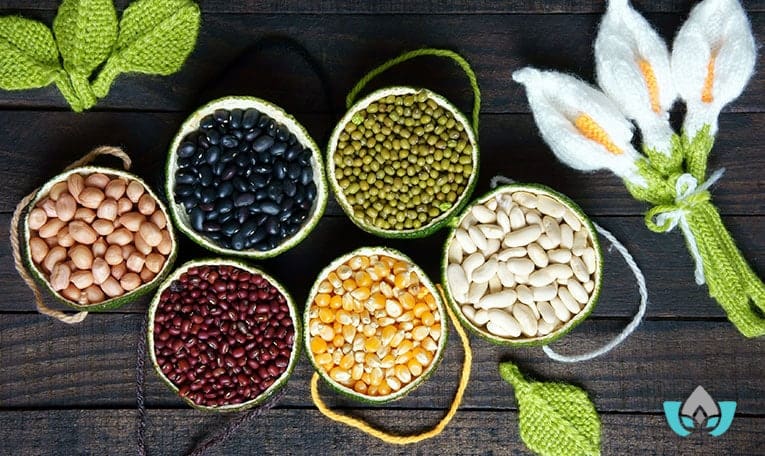 types of food that cause food allergies and intolerances | Mindful Healing | Mississauga Naturopathic Doctor