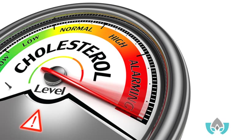 what causes high cholesterol | Mindful Healing | Naturopathic Doctor Mississauga