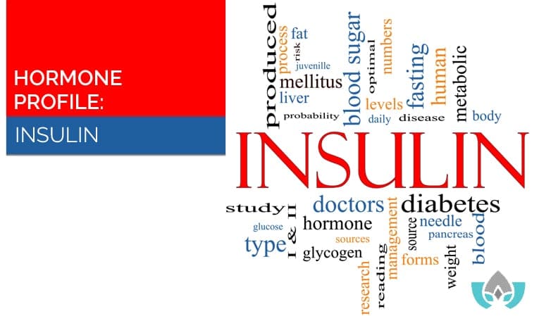 Hormone Profile: Insulin | Mindful Healing | Naturopathic Doctor Mississauga