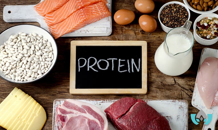 What Does Protein Do For The Body and foods high in protein | Mindful Healing | Naturopathic Doctor Mississauga